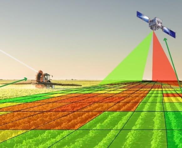 Crop monitoring and digital agriculture intelligence